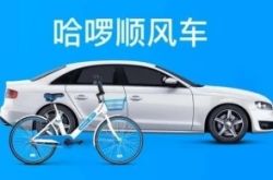 (5分钟科普)文山州12345政府热线_哔哩哔哩-3